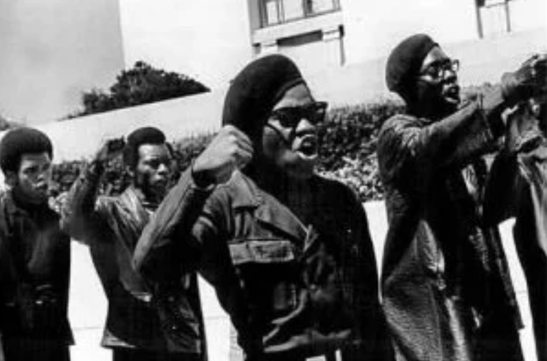 Panteras Negras 1