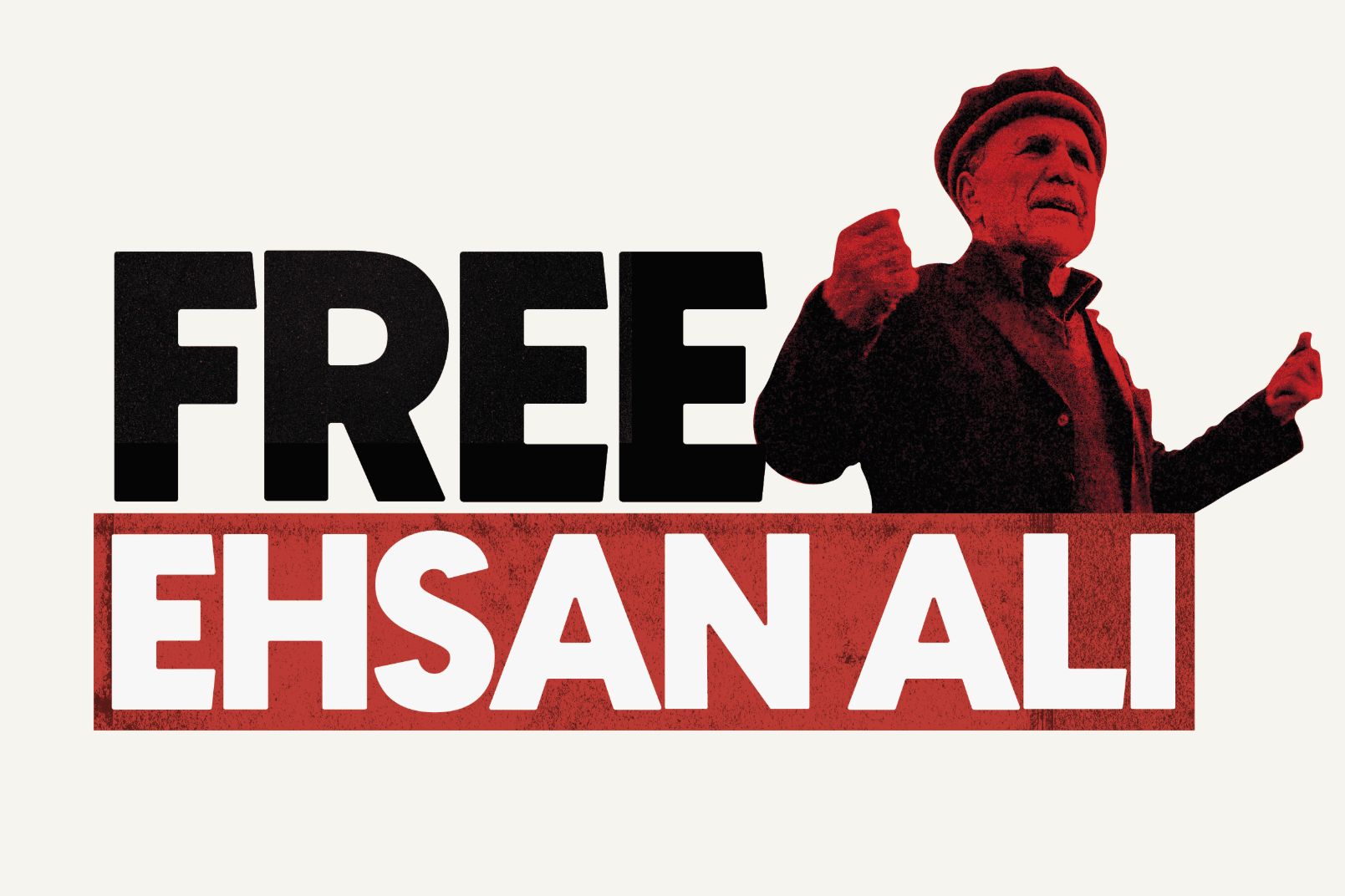 Ehsan Ali website 1